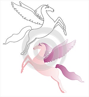 Pink Pegasus