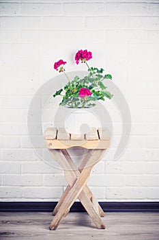 Pink pelargonium in white pot standing on wooden chair