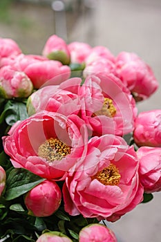 Pink peonies. Beautiful summer bouquet. Floral composition. Wallpaper. Lovely flowers in glass vase.