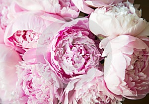 Pink peonies blossom background. Flowers bouquet