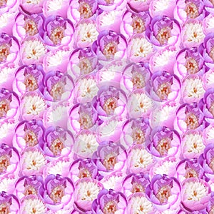 Pink peonies flowers background. Photo collage seamless pattern.