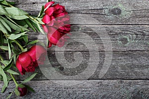 Pink peonies flowers on rustic wooden background. Selective focus