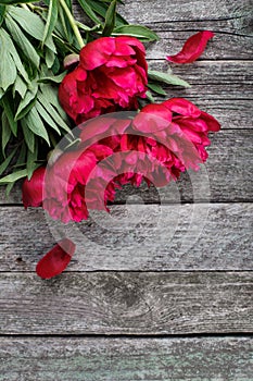 Pink peonies flowers on rustic wooden background. Selective focus