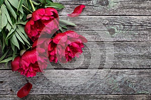 Pink peonies flowers on rustic wooden background. Selective focus