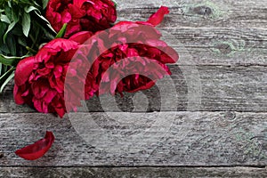 Pink peonies flowers on rustic wooden background. Selective focus