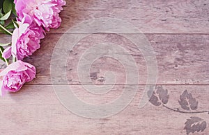 Pink Peonies Flowers on a Wooden Background. Styled Marketing Photography. Styled Stock Photography. Blog Header Image