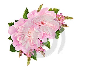 Pink peonies and onobrychis flowers in a floral corner arrangement isolated on white