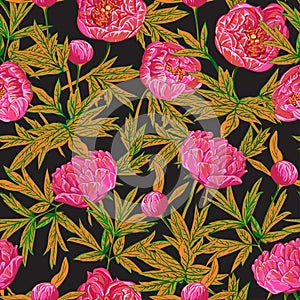 Pink peonies with orange leaves on a gray background