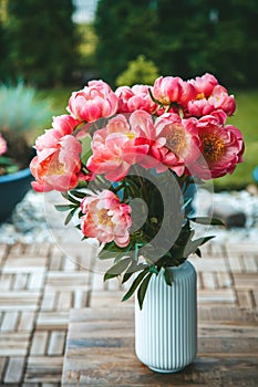 Pink peonies, vibrant and full, are arranged in a white vase