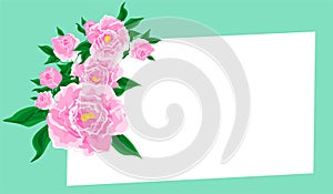 Pink peons and banner