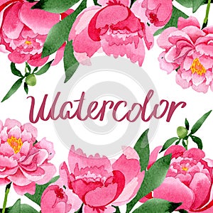 Pink peony floral botanical flowers. Watercolor background illustration set. Frame border ornament square.