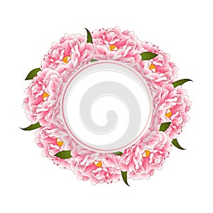 Pink Peony Flower Banner Wreath isolated on White Background. Vector Illustration