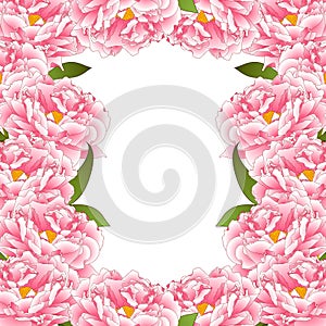 Pink Peony Flower Border isolated on White Background. Vector Illustration