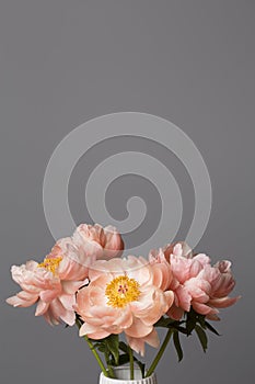 Pink peony flowers bouquet on a solid background