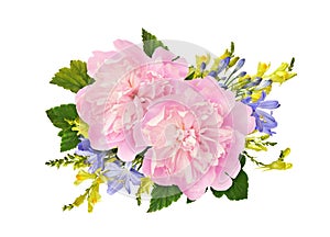 Pink peony flowers in a floral arrangement isolated