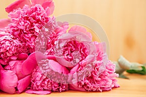Pink peony flowers on wooden background, beautiful card with blossom