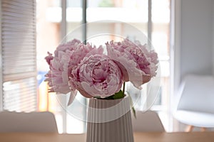 Pink peony fower bouquet indoor scene on a white decoration vase