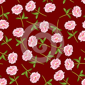 Pink Peony Seamless on Red Background. Vector Illustration