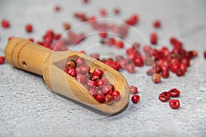 Pink pepper berries (Schinus terebinthifolia) photo