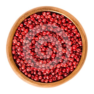 Pink pepper in wooden bowl over white photo
