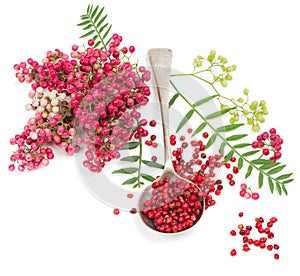 Pink peppercorn in a spoon