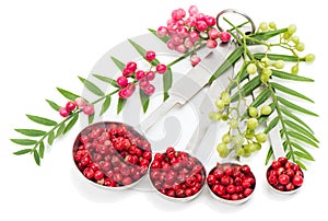 Pink Peppercorns, fresh and dry