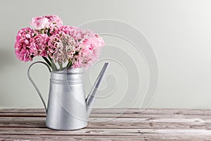 Pink persian buttercup flowers. Curly peony ranunculus in Metallic gray vintage watering can, copy space.