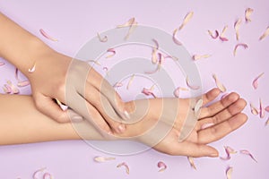 Pink petals of a flower in gentle womans hands on a violet background. Concept of advertisment of beauty salon. Gift certificate.