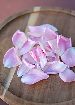 Pink petals placed on wooden backdrops