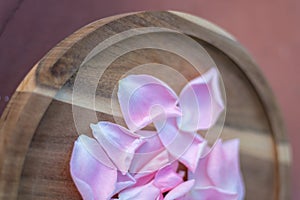 Pink petals placed on wooden backdrops