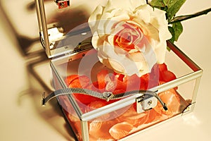 Pink petals rose jewelry box photo