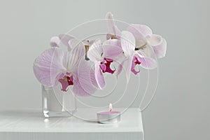 Pink phalaenopsis orchid flower with burning candle in gray interior. Selective soft focus. Minimalist still life. Light and