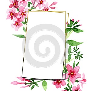 Pink phlox foral botanical flower. Watercolor background illustration set. Frame border ornament square.