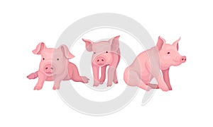 Pink Pig as Even-toed Ungulate Domestic Animal in Different Poses Vector Set