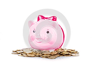 Pink the pig-coin box
