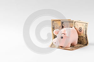 Pink pig on dollar bills