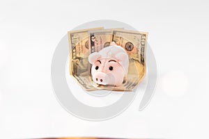 Pink pig on dollar bills