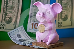 Pink Pig holding hryvna coin. Pig with hryvna coin against the background US dollars background. UAH and USD