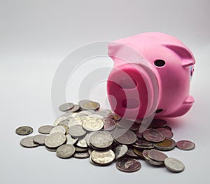 pink pig lying on a pile of coins white background concept savings bank account bank account finance economy retirement