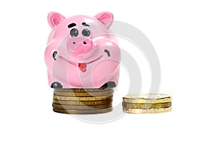 Pink pig moneybox and money