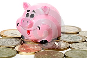 Pink pig moneybox and money