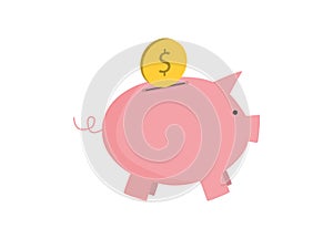 Pink pig piggy bank and coin