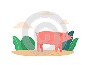 Pink Pig Runs Through Summer Field, Snorting And Enjoying Its Freedom, Surrounded By Green Plants And Cloudy Sky