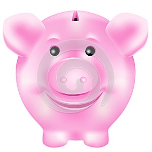 Pink piggy