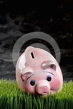 Pink Piggy Bank.