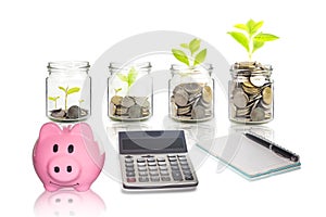 Pink piggy bank, calculator, Money growing plant step with deposit coin,  seed in clear bottle on white background