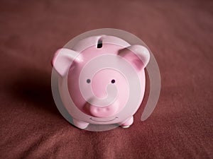 Pink piggy bank on dark red background, Saving money for future plan and retirement fund concept