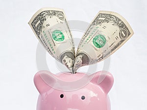 Pink piggy bank with dollars bank note, Saving money for future plan and retirement fund concept