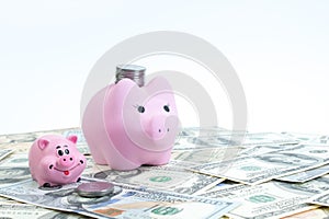 Pink piggy bank, dollars on a white background. savings concept, fundraising. coins photo