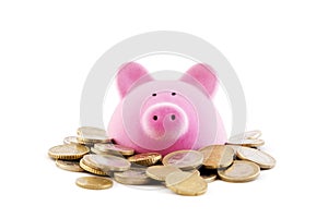 Pink piggy bank with euro coins